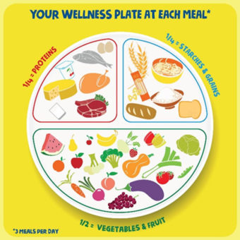 wellness food plate