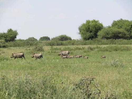 5 Exciting places to visit in Mahikeng | Bona Magazine