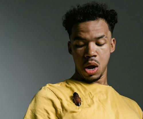 Fear of big insects explained Bona Magazine