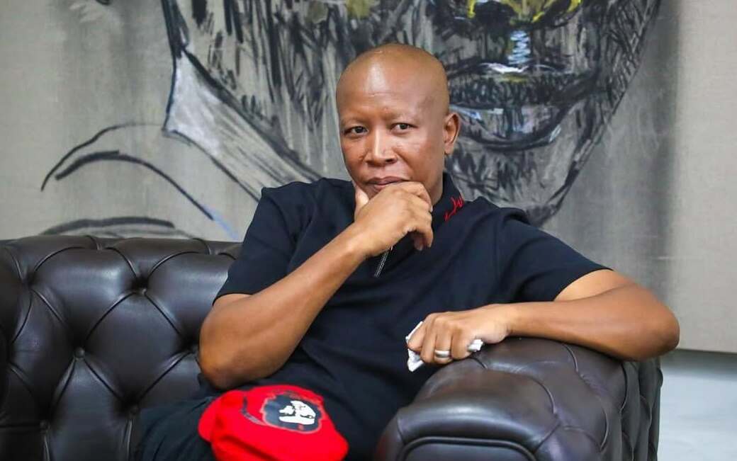 Julius Malema is the guy he thinks he is: Unshaken by Donald’s Trump advice to get him arrested