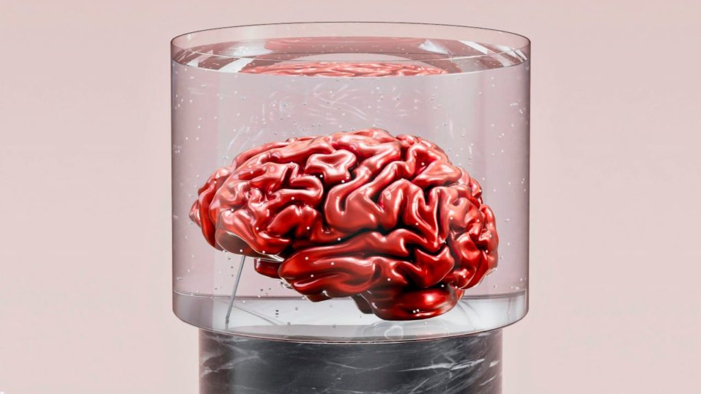 Sharpen Your Mind: 5 Easy Habits for a Healthier Brain (Backed by Science!)