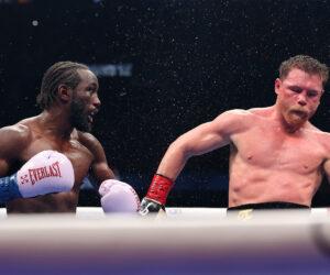 (Photo by Sarah Stier/Getty Images for Netflix)