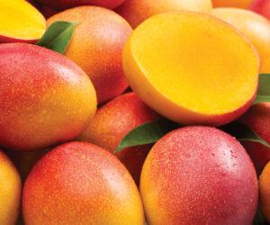 BI Phakathi roadside vendor, generous tip reaction, woman with mangoes emotional, tech-free kindness SA, social media kindness moment, Bona Magazine