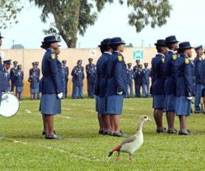family celebrating police graduation, new officer honoured at home, viral South African video, first cop in the family, proud moment in Mzansi, local tradition of celebration, police uniform and cake, proud parents and siblings, community pride shared online, Bona Magazine