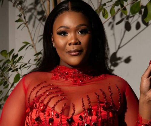 Zikhona Sodlaka at LaConco’s birthday party, South African celebrity fashion, Mzansi social media reactions, Zikhona Sodlaka hairstyle debate, Bona Magazine