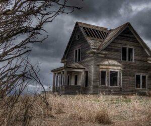 empty living room ceiling, cracked ceiling cornice, dark attic space, home interior quiet, Bona Magazine
