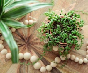 pexels-nord6-10828063