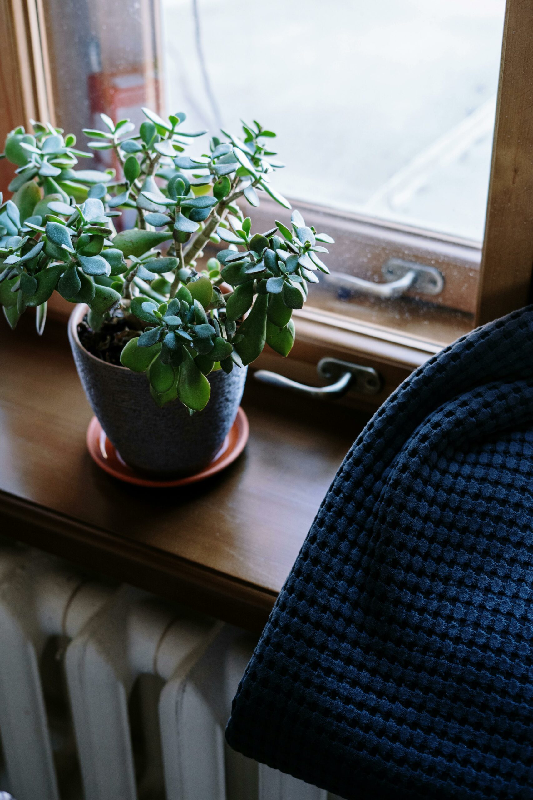 pexels-cottonbro-4045620