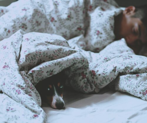 claudia-manas-nvOw94yHp2g-unsplash