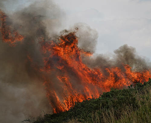 gettyimages-2230162970-612x612
