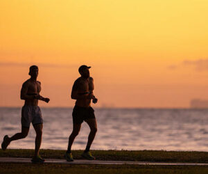 gettyimages-2251902786-612x612