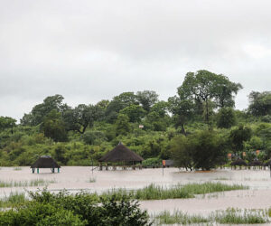 gettyimages-2255800348-612x612