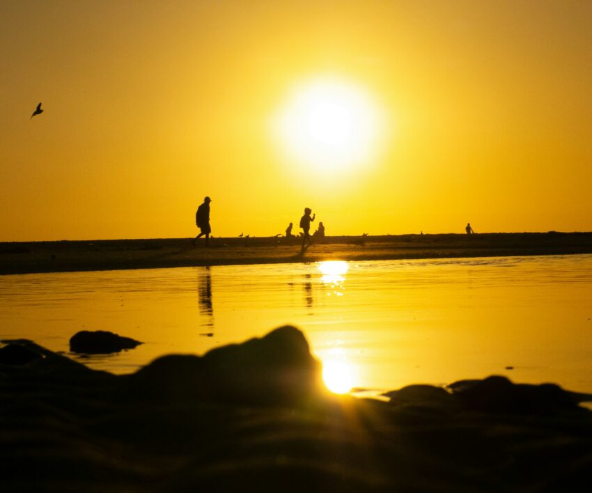 nico-kotze-ewLRj9IKiE8-unsplash