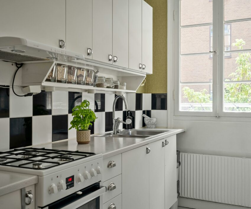 pexels-lisa-anna-901356985-19857267