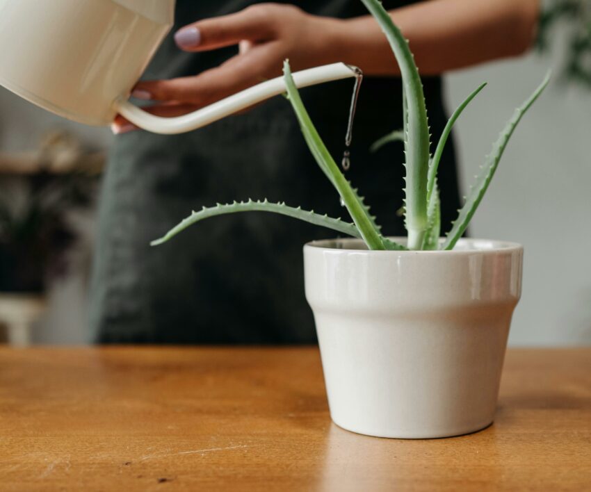 pexels-rocketmann-prod-9507264