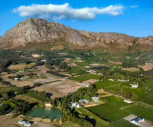 gettyimages-1394979092-612x612