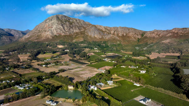 gettyimages-1394979092-612x612