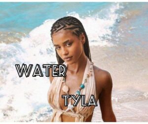 SANDF brass band performance SONA, Tyla Water song SONA event, South African National Defence Force band Parliament, Tyla hit Water brass band version, South Africa water crisis debate, SONA 2025 cultural moment, Bona Magazine