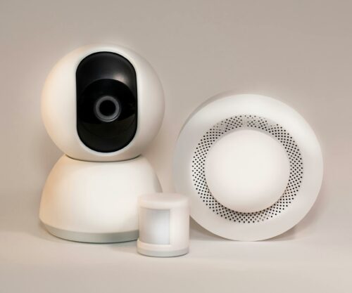 pexels-jakubzerdzicki-24503710