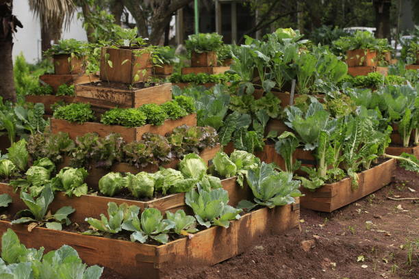 gettyimages-1242014781-612x612