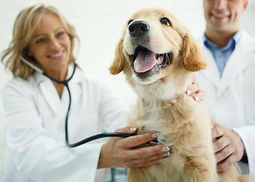 gettyimages-514624140-612x612