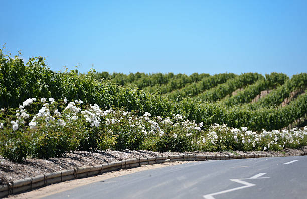 gettyimages-525243348-612x612