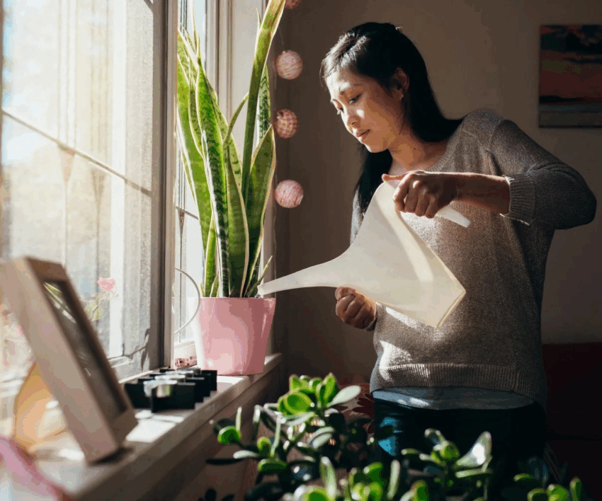 solo living South Africa, single apartment Johannesburg, women buying homes SA, urban lifestyle South Africa, compact city living, sectional title apartments SA, solo travel South Africans, modern housing trends SA, independent living South Africa, young professionals city life, Bona Magazine