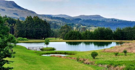 nerene-grobler-cfy3RLN1a-A-unsplash