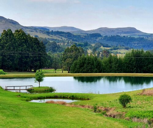 nerene-grobler-cfy3RLN1a-A-unsplash