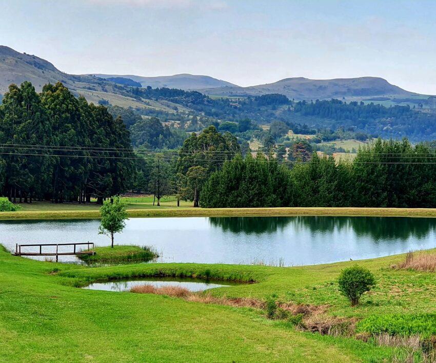 nerene-grobler-cfy3RLN1a-A-unsplash