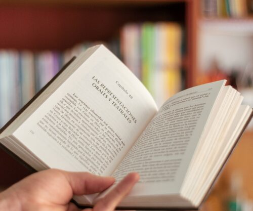 pexels-gilmerdiaz-5535210