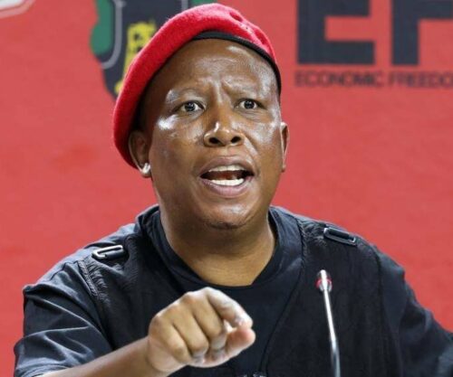 Gareth Cliff, Julius Malema, Julius Malema sentence, EFF leader news, South African politics, prison sentence reaction, Gareth Cliff comments, Malema appeal, court ruling South Africa, social media reaction, EFF supporters, political news South Africa, Bona Magazine