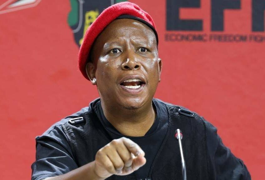Gareth Cliff, Julius Malema, Julius Malema sentence, EFF leader news, South African politics, prison sentence reaction, Gareth Cliff comments, Malema appeal, court ruling South Africa, social media reaction, EFF supporters, political news South Africa, Bona Magazine