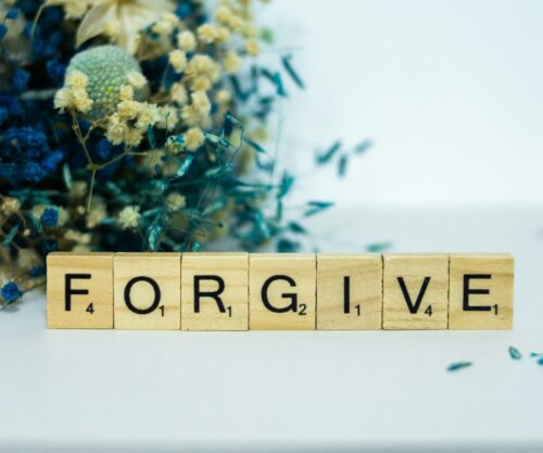 alex-shute-oLYzJXvsSnE-unsplash