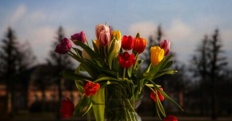 bernd-dittrich-MPDo53KG6HU-unsplash