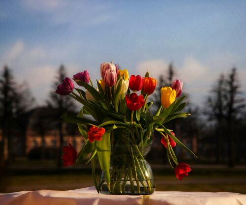 bernd-dittrich-MPDo53KG6HU-unsplash