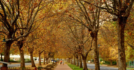 gettyimages-144858613-612x612