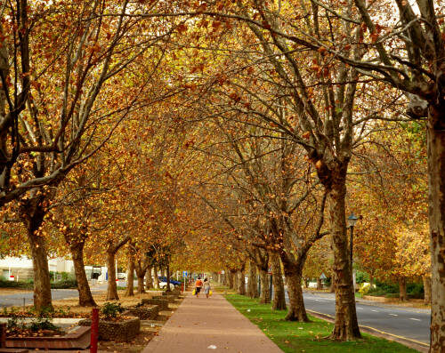 gettyimages-144858613-612x612