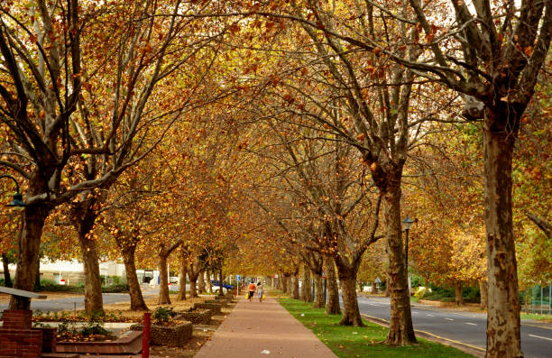 gettyimages-144858613-612x612