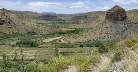 gettyimages-1485077100-612x612