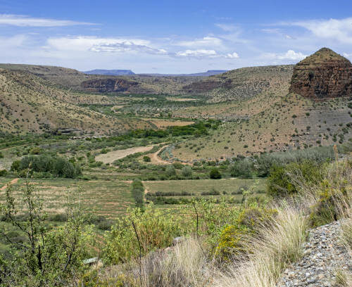 gettyimages-1485077100-612x612