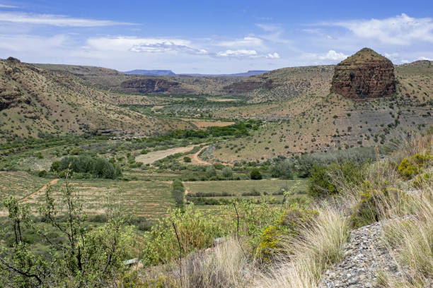 gettyimages-1485077100-612x612