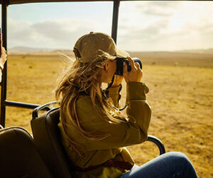 Young adult woman photographing wildlife from safari vehicle on african savanna