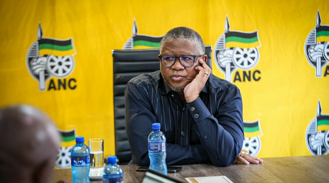 Fikile Mbalula once called the Bafana Bafana team a "bunch of losers."