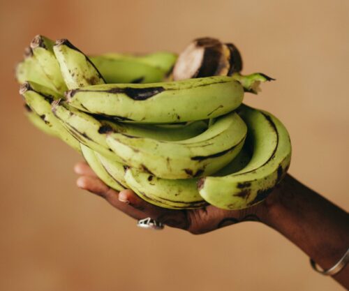 The importance of adding bananas to your diet.