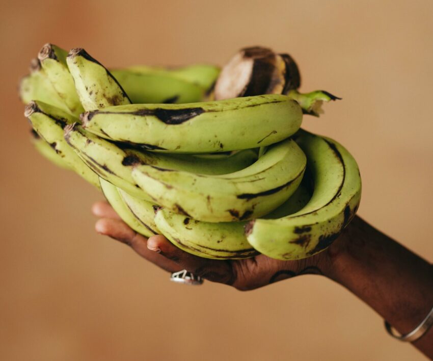 The importance of adding bananas to your diet.