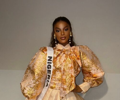 Chidimma Adetshina got candid about her stance on some of South Africa's official languages.