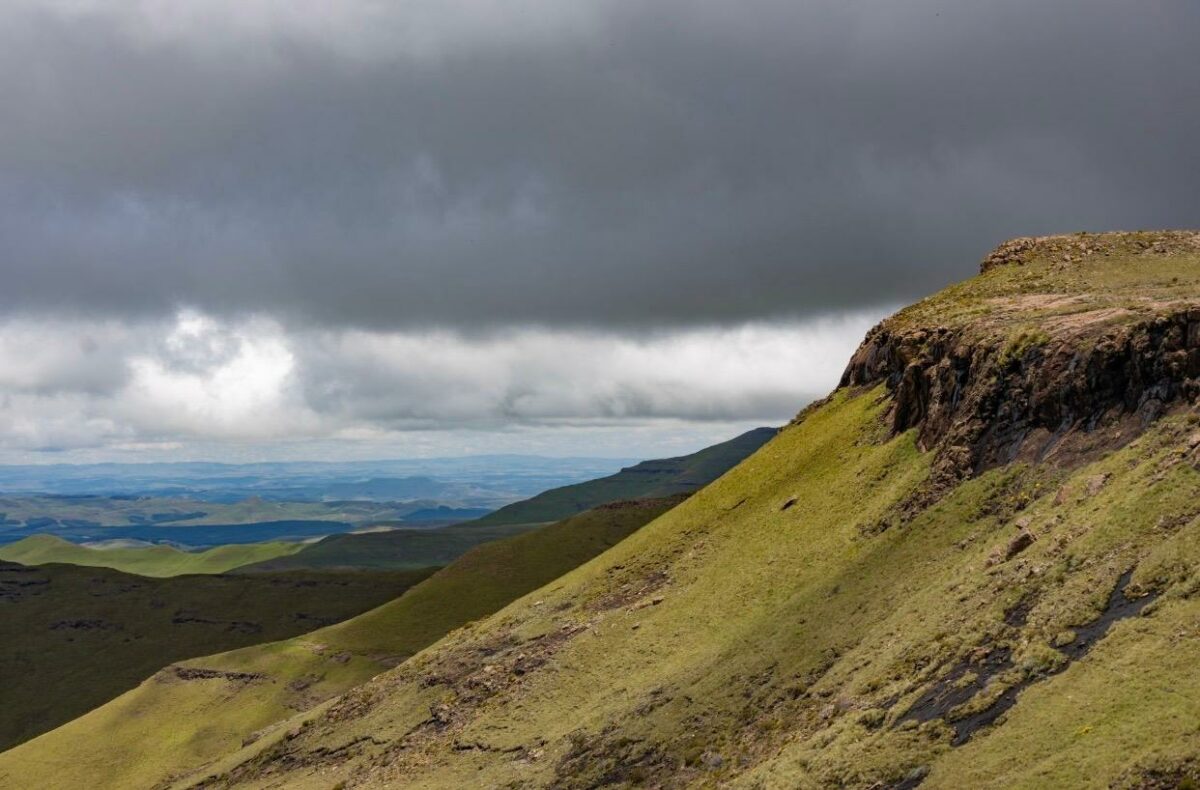 New Grasslands National Park expands South Africa’s conservation footprint
